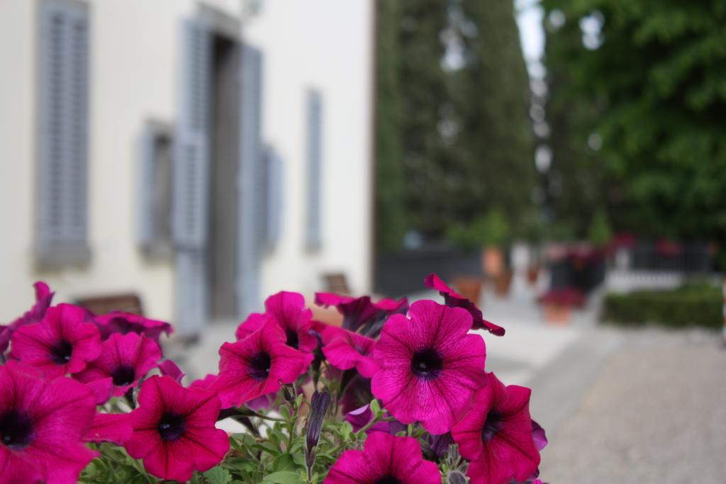 Villa Montarioso Siena Exterior photo